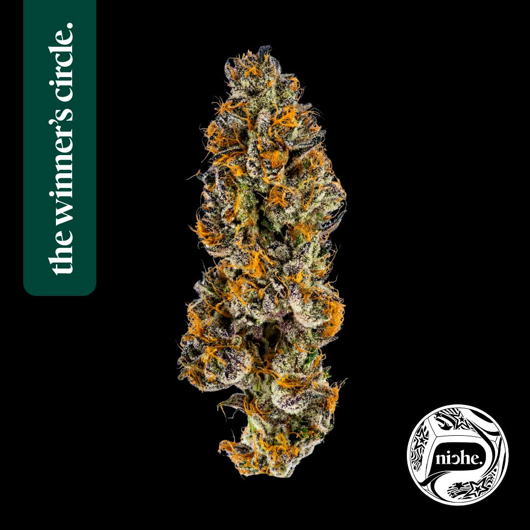 Zereal Milk | Medallion Series 3.5g by Niche