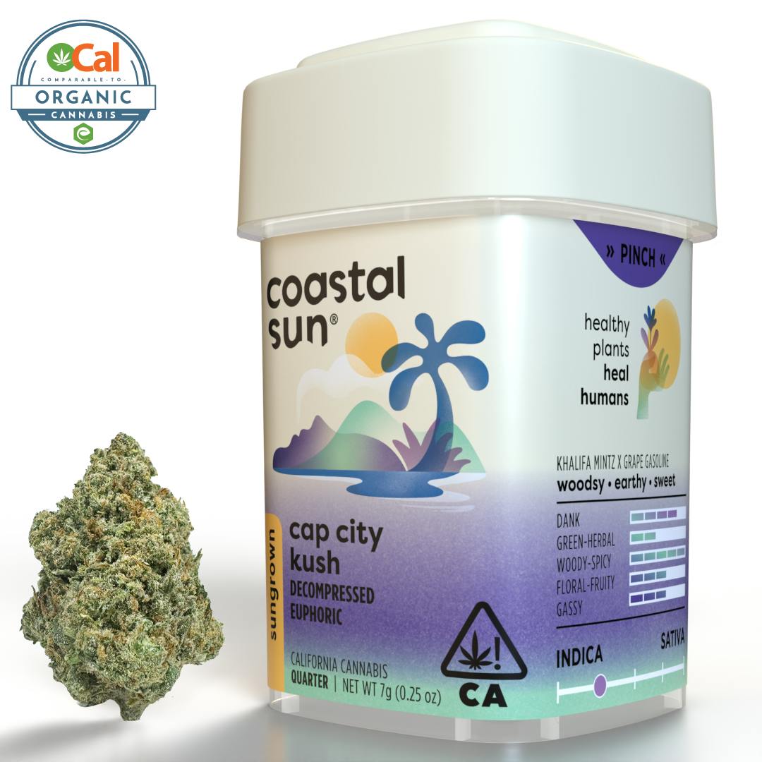 Coastal Sun — Cap City Kush