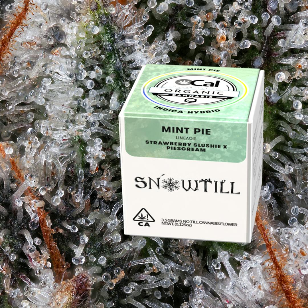 Snowtill — Mint Pie