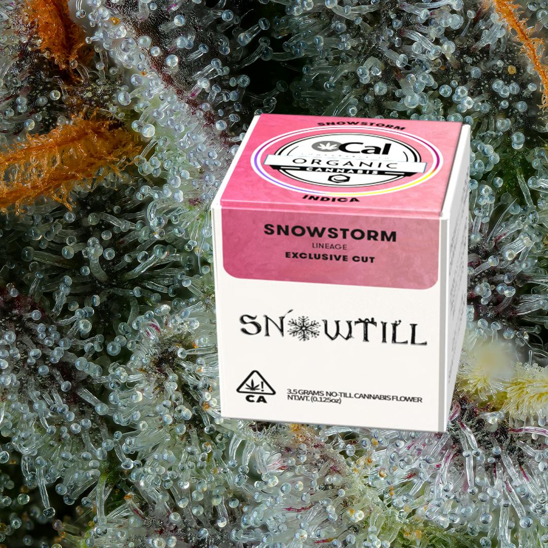 Snowtill — Snowstorm