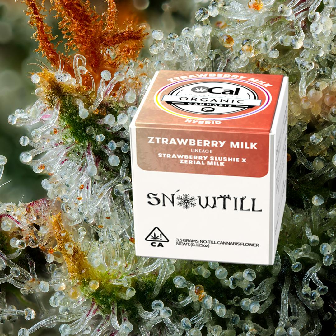 Snowtill: Ztrawberry Milk