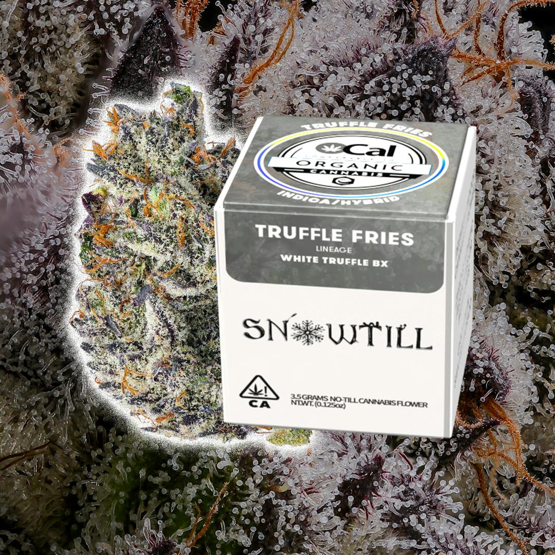 Snowtill — Truffle Fries