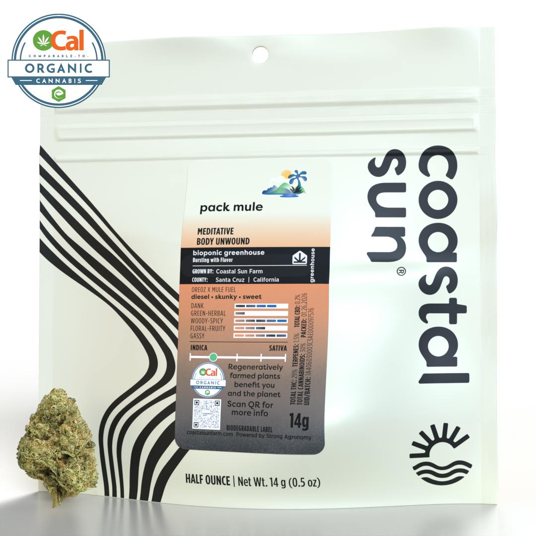 Coastal Sun | Pack Mule | Greenhouse Flower | 14g
