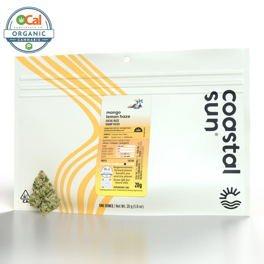 Coastal Sun — Mango Lemon Haze
