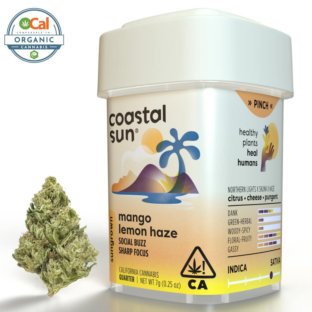 Coastal Sun — Mango Lemon Haze
