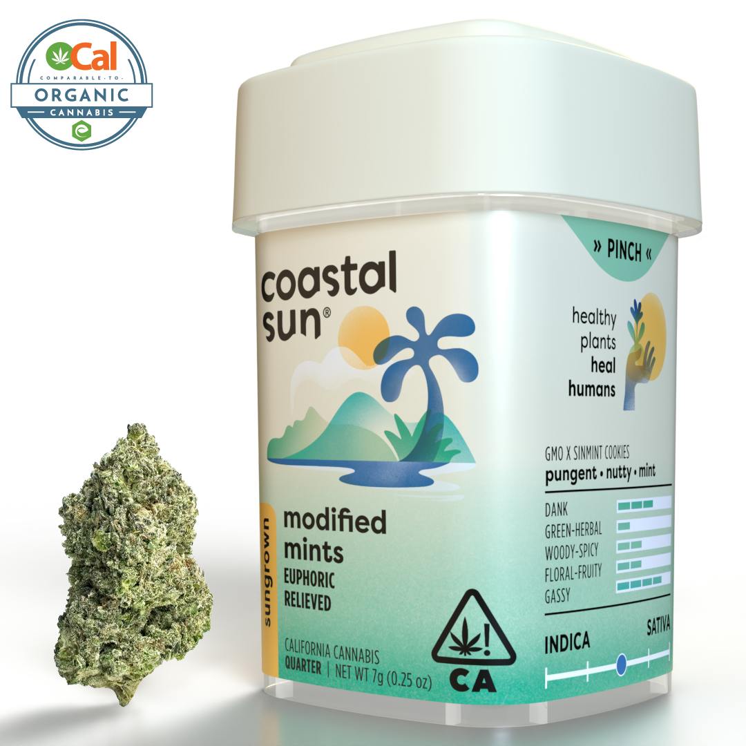 Coastal Sun: Modified Mints