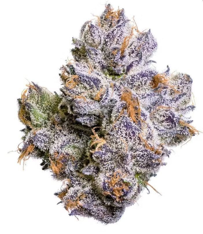 Fig Farms — Sour Cherry Pie