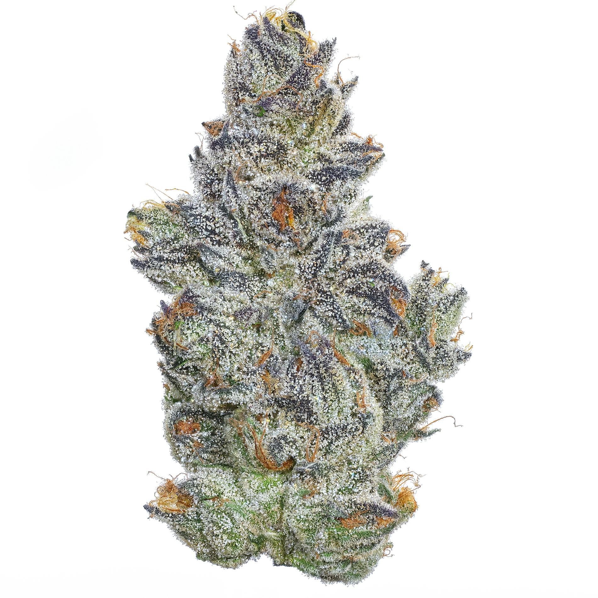 Fig Farms: Sour Cherry Pie