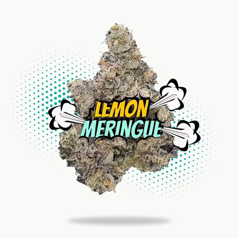 Lemon Meringue - Topshelf Indoor 28g- Hybrid - Frostiez