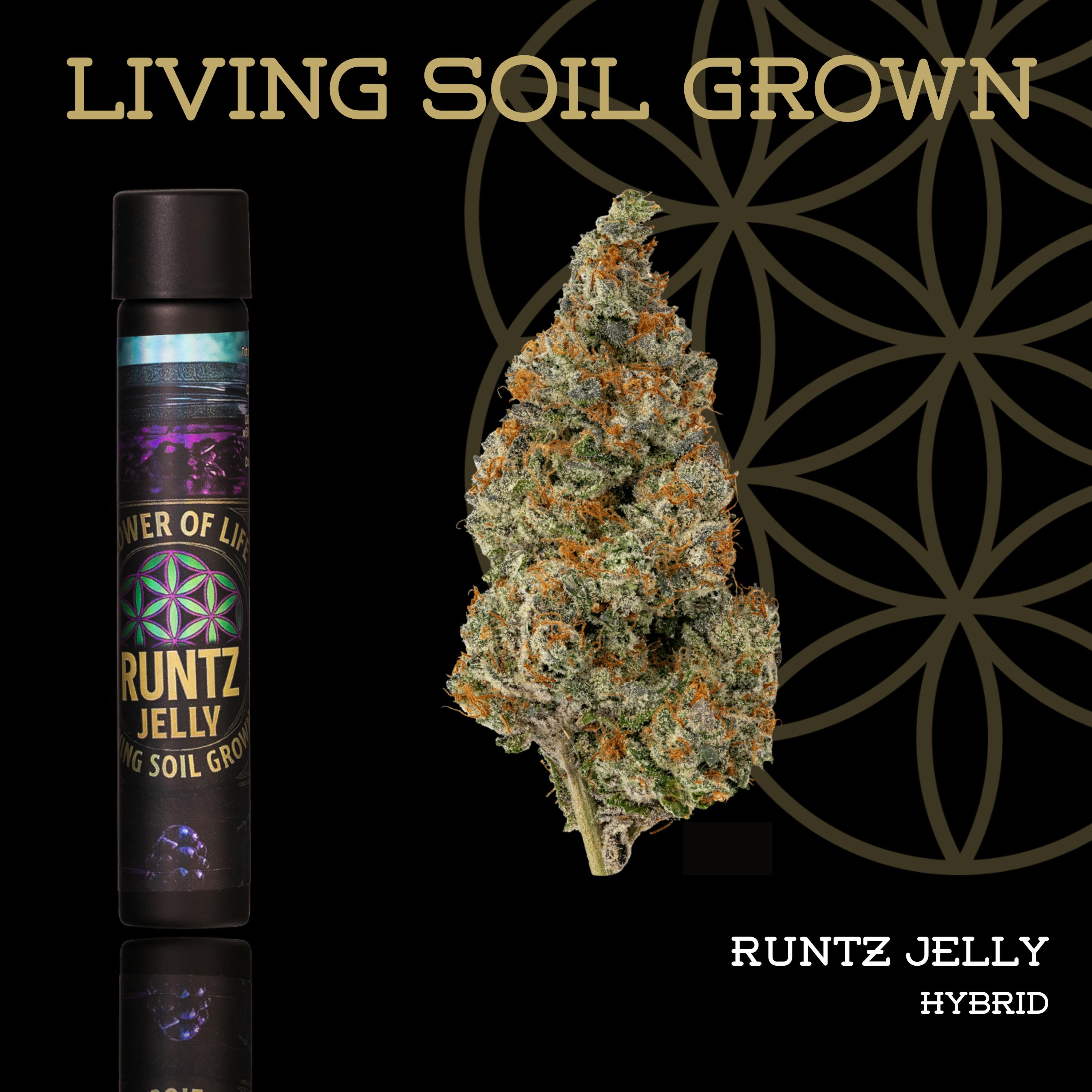 Runtz Jelly | Joint | 1g