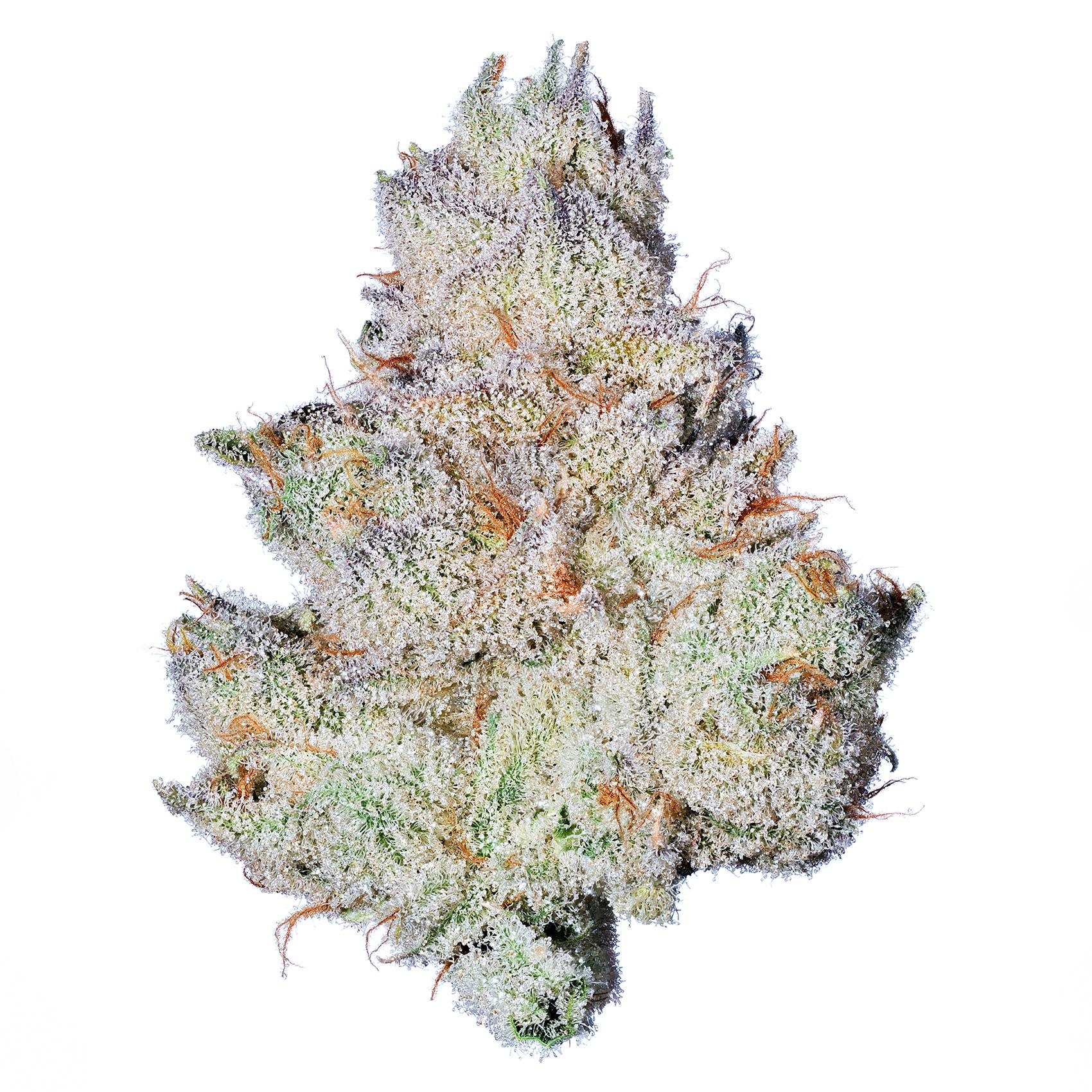 Fig Farms — Strawberry Guava