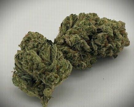 TERP MANSION: Gg4