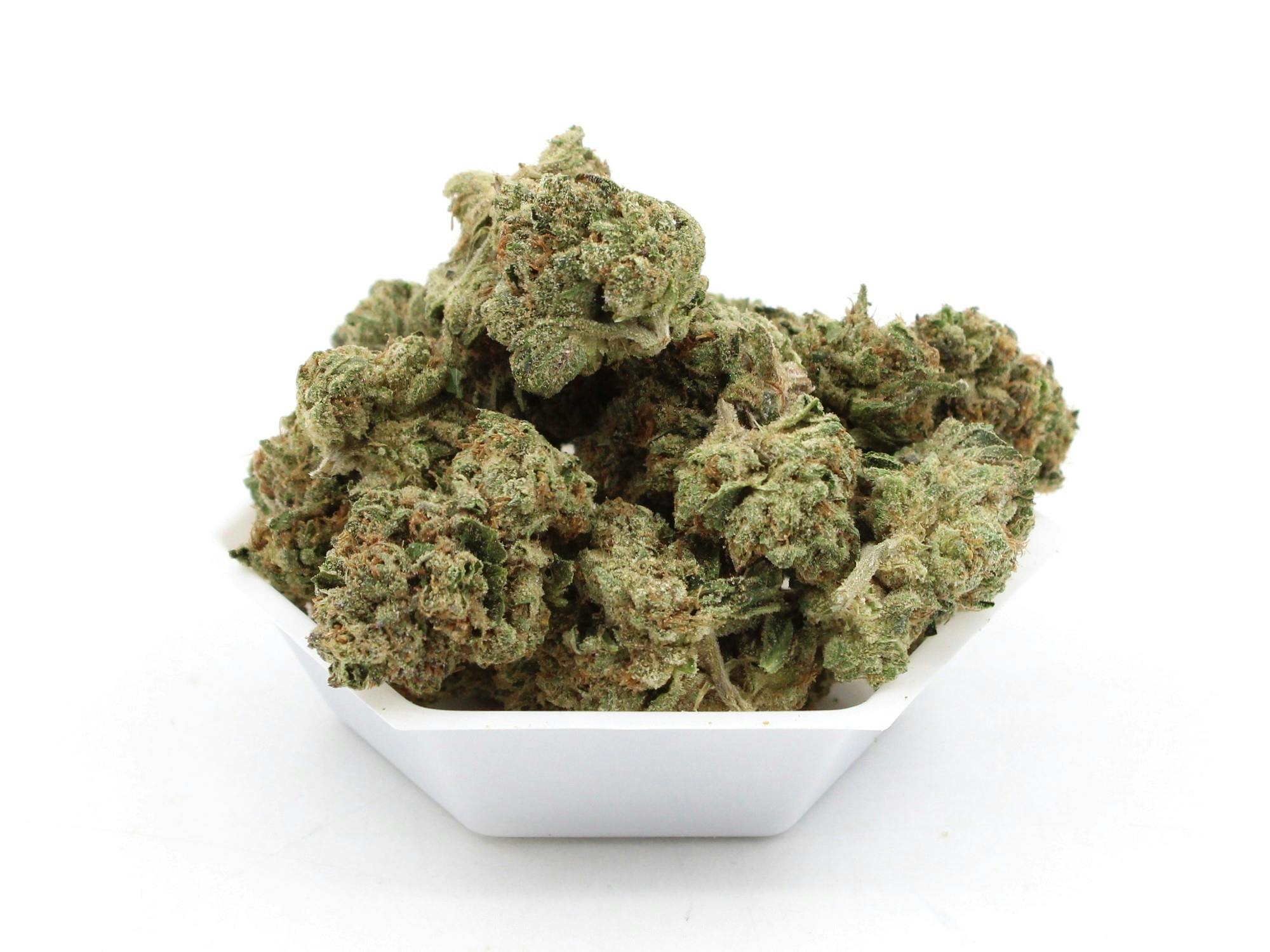 TERP MANSION — Rainbow Sherbet