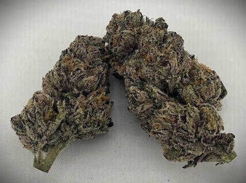 TERP MANSION — Blue Taffeze