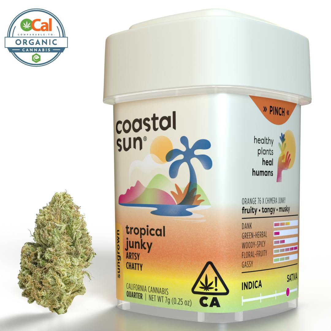Coastal Sun: Tropical Junky