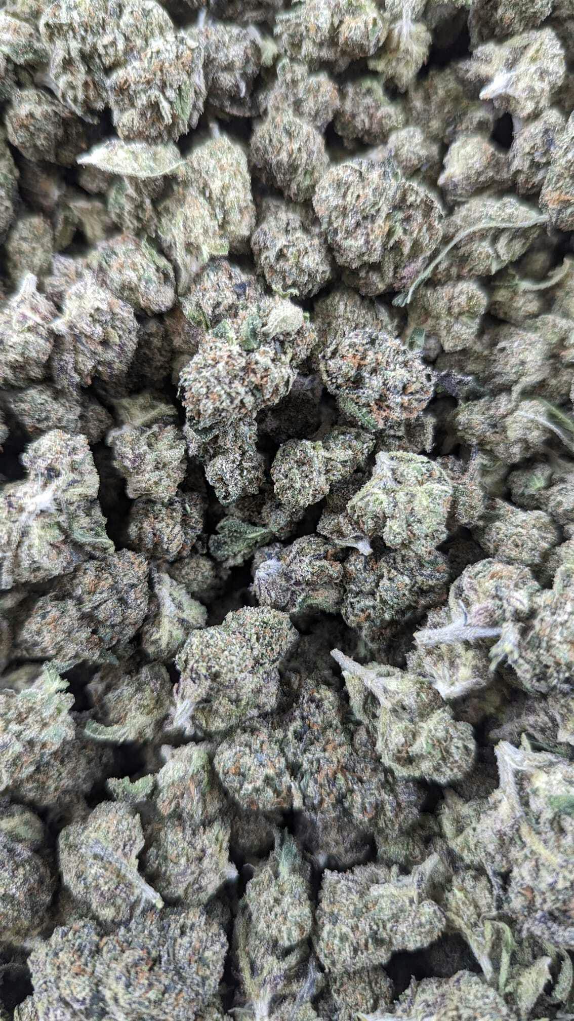Gushers Greenhouse Smalls OZ (28g) - Top Shelf Express
