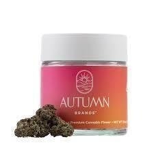 Autumn Brands — Blueberry Pancakes