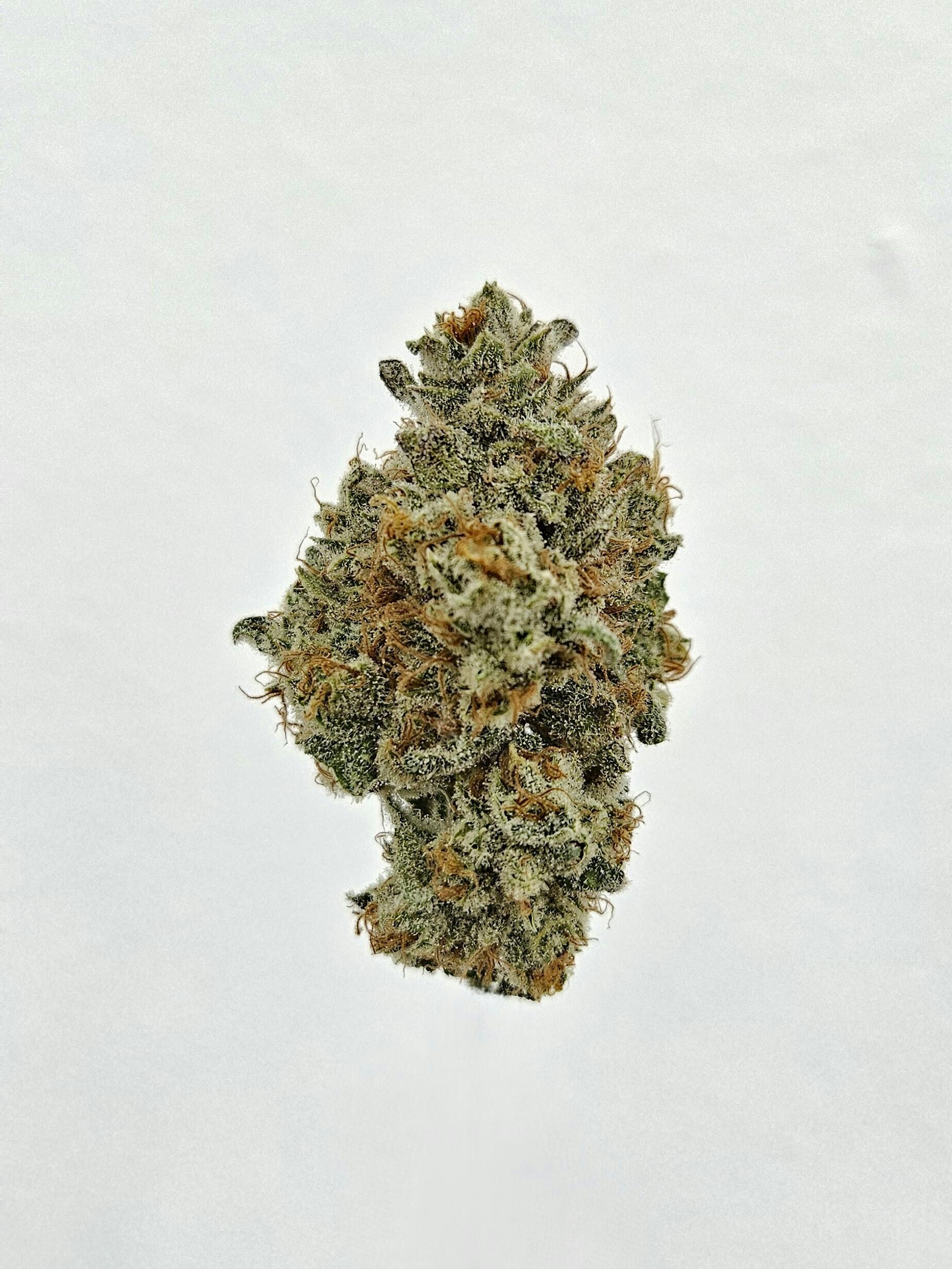 Flower - Private Reserve - Madd Fruit by Ripple Wellness