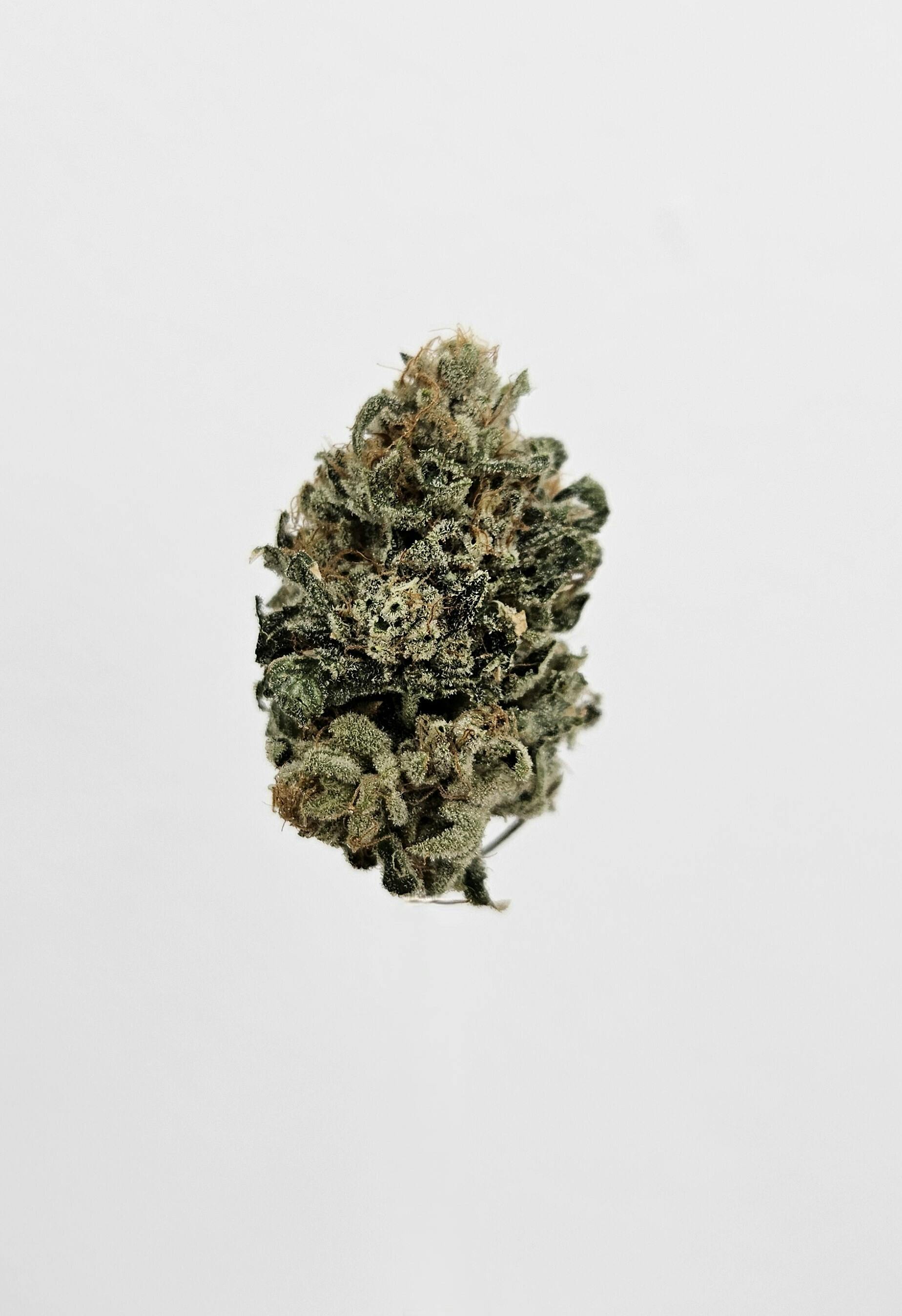 Flower - Private Reserve - Mega Wellness OG by Ripple Wellness