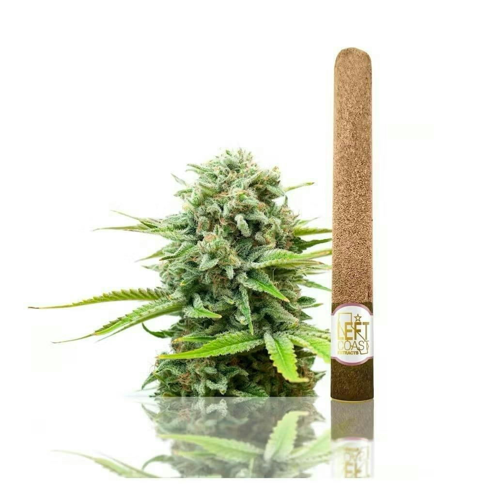 LEFT COAST — Blunt Roll -pineapple Splash