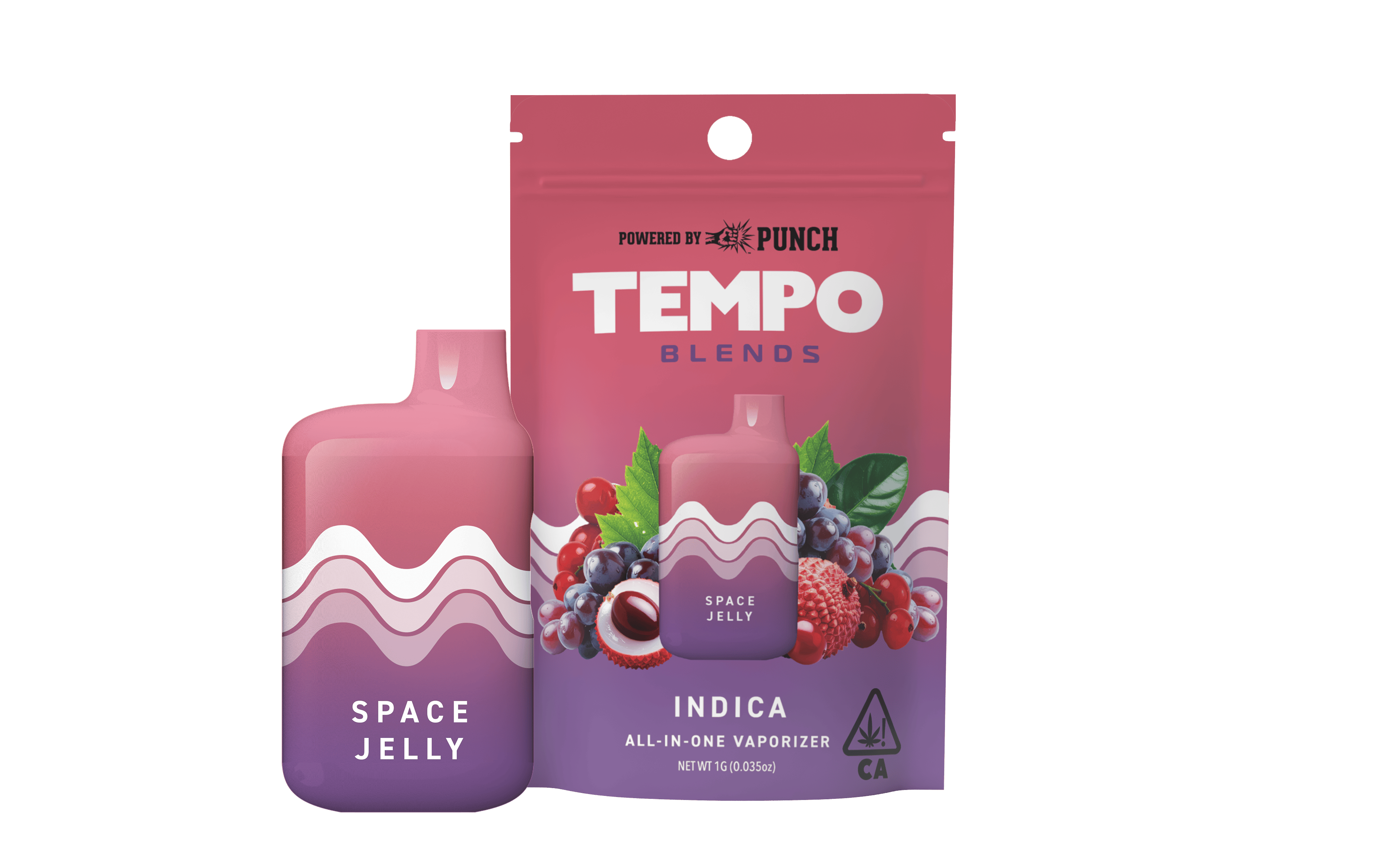 TEMPO — Sweet