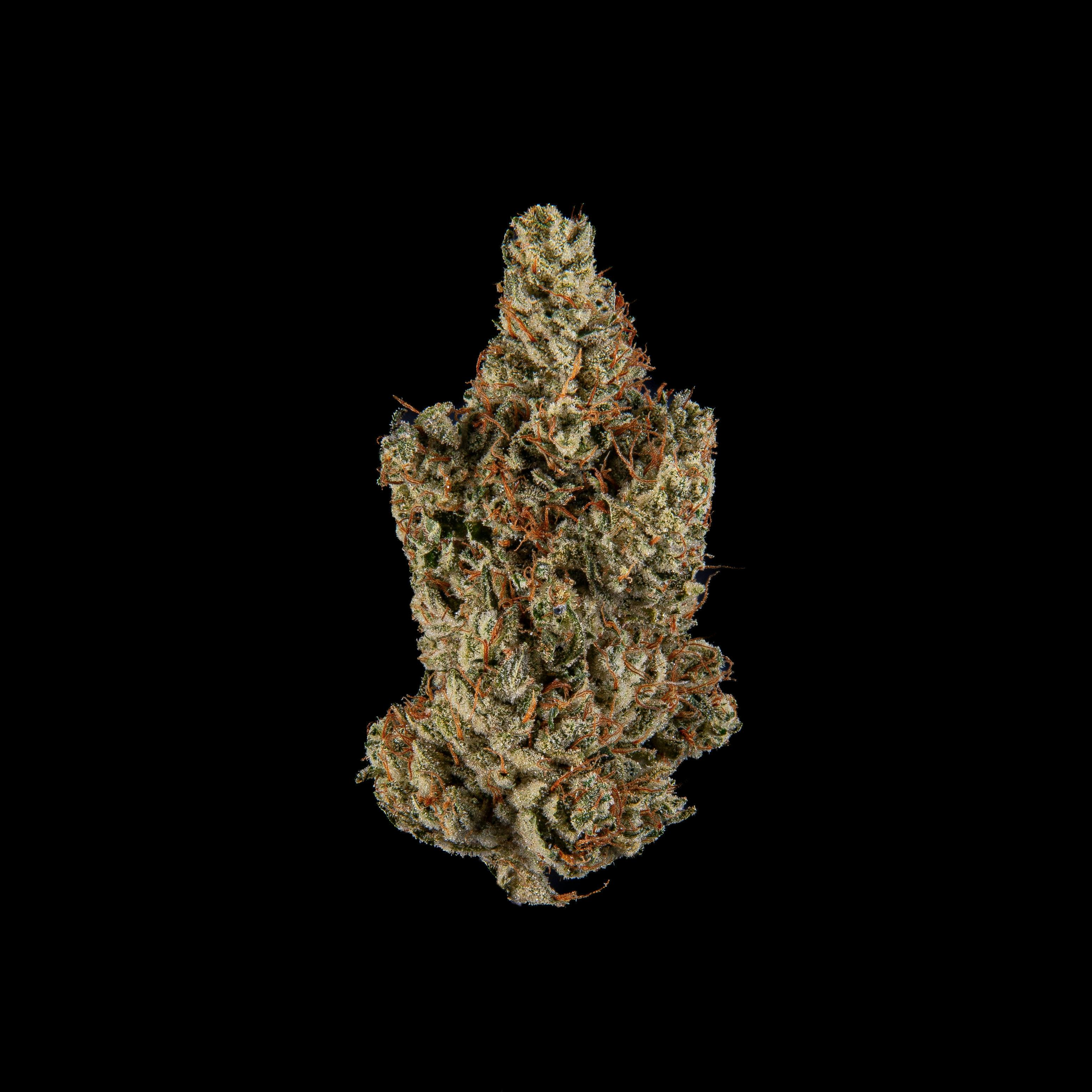 GG #4