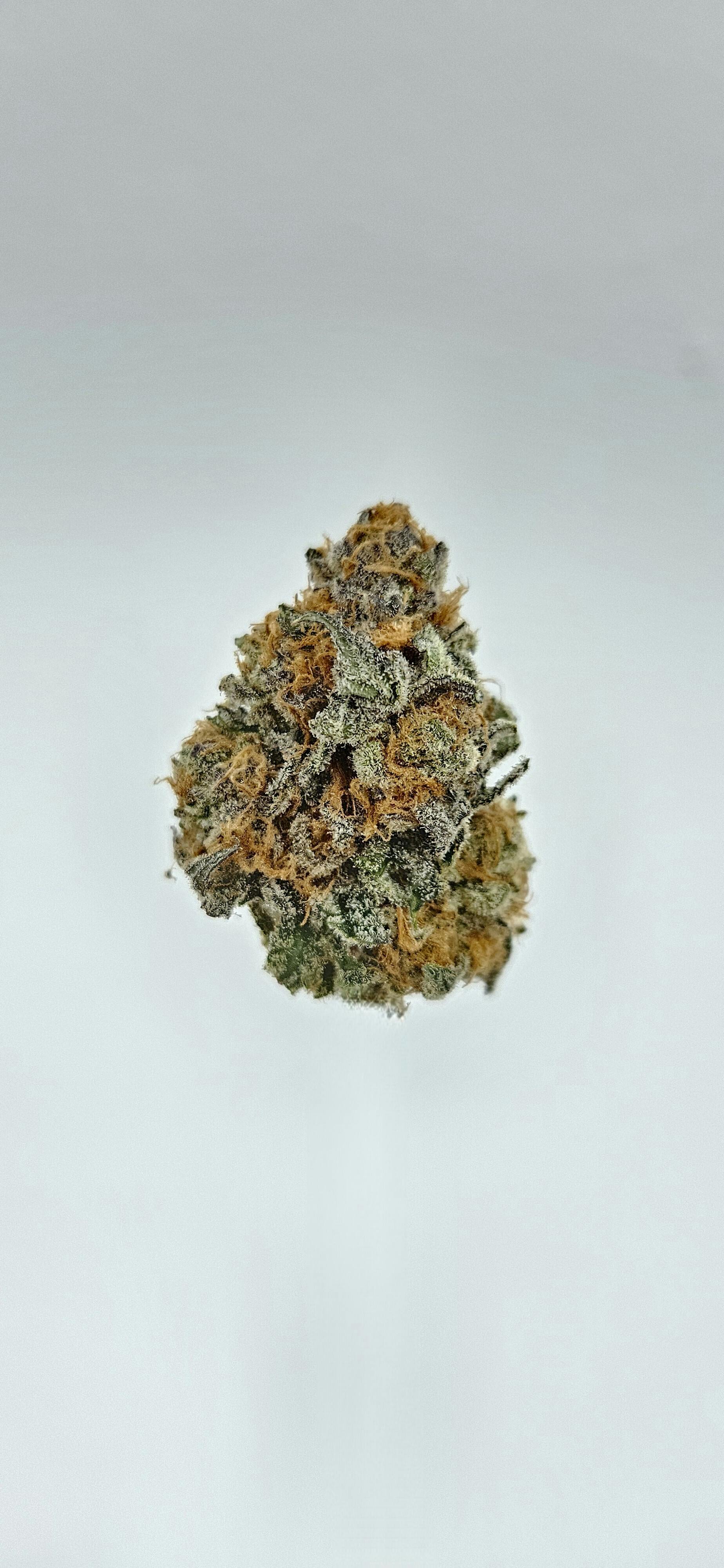 Flower - Private Reserve - Hindu Kush by Ripple Wellness