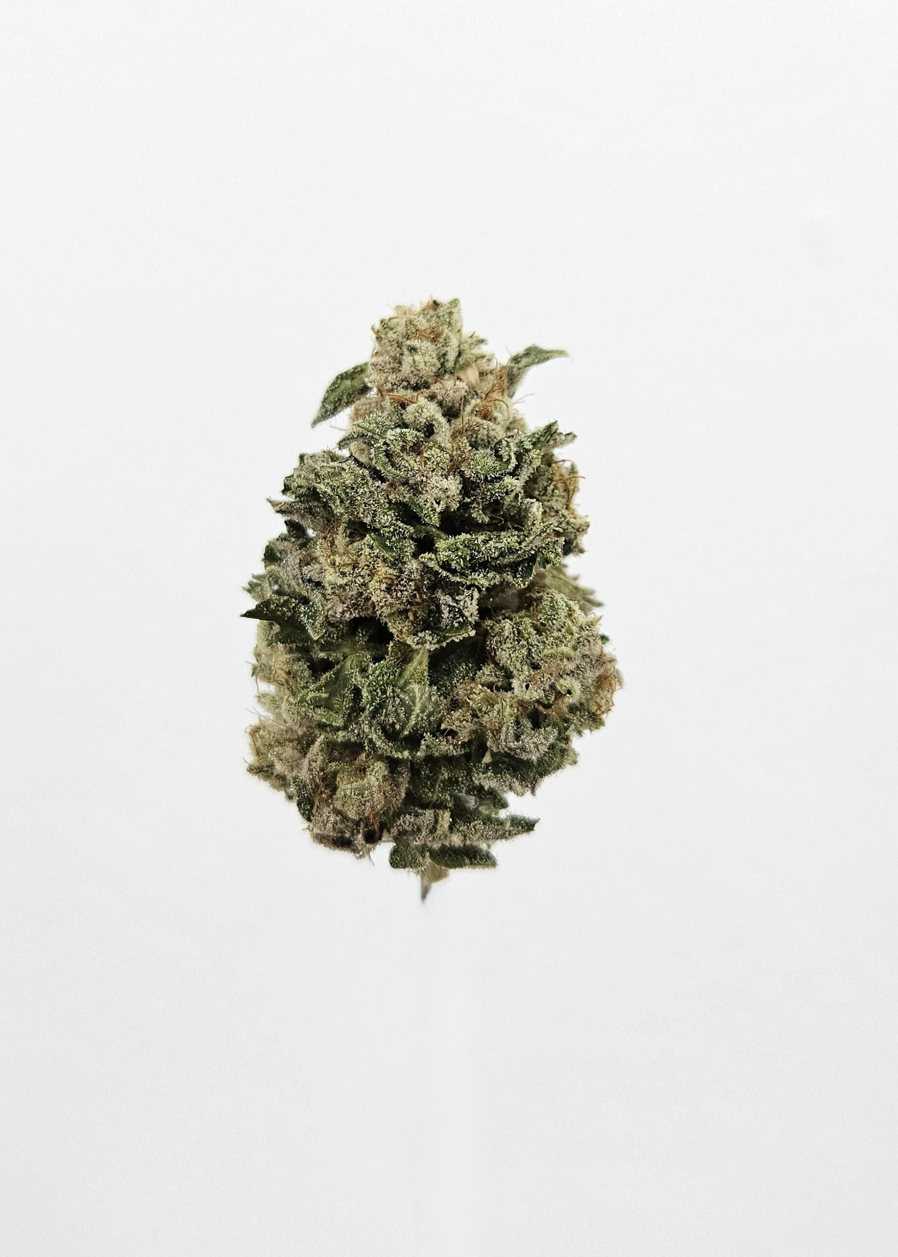 Flower - Private Reserve - Karma's Headstash OG #7 by Ripple Wellness
