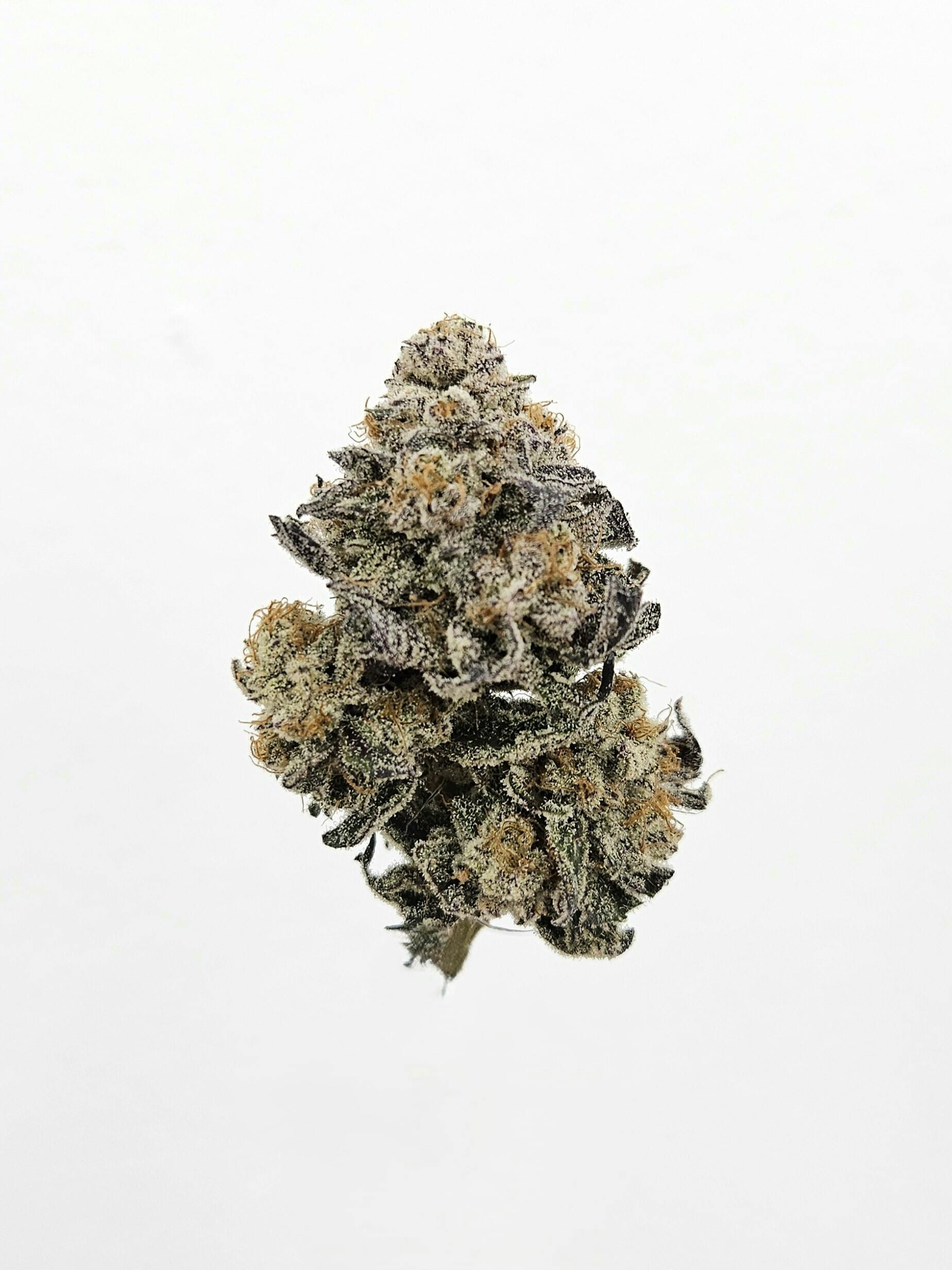 Flower - Private Reserve - Karma's Headstash OG #6 by Ripple Wellness