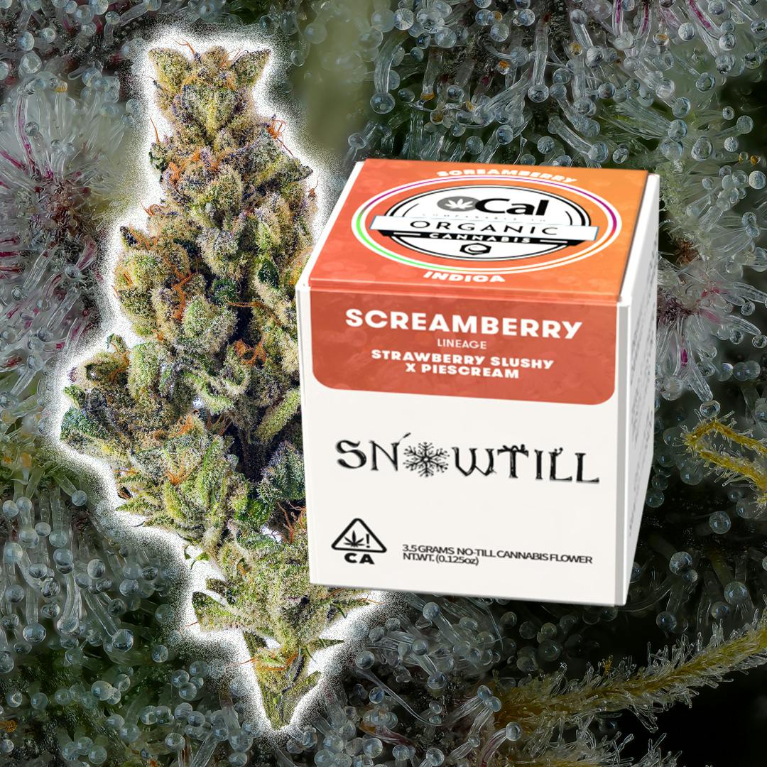 Snowtill — Screamberry