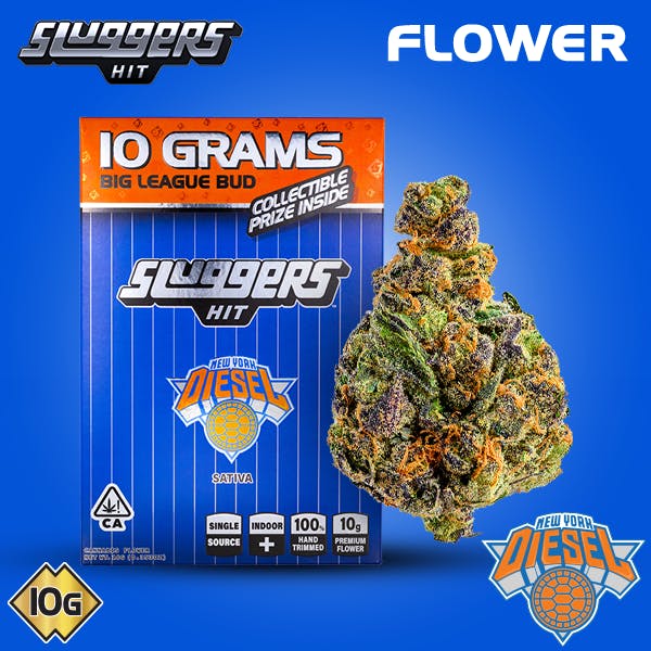 Sluggers Hit — NYC Diesel