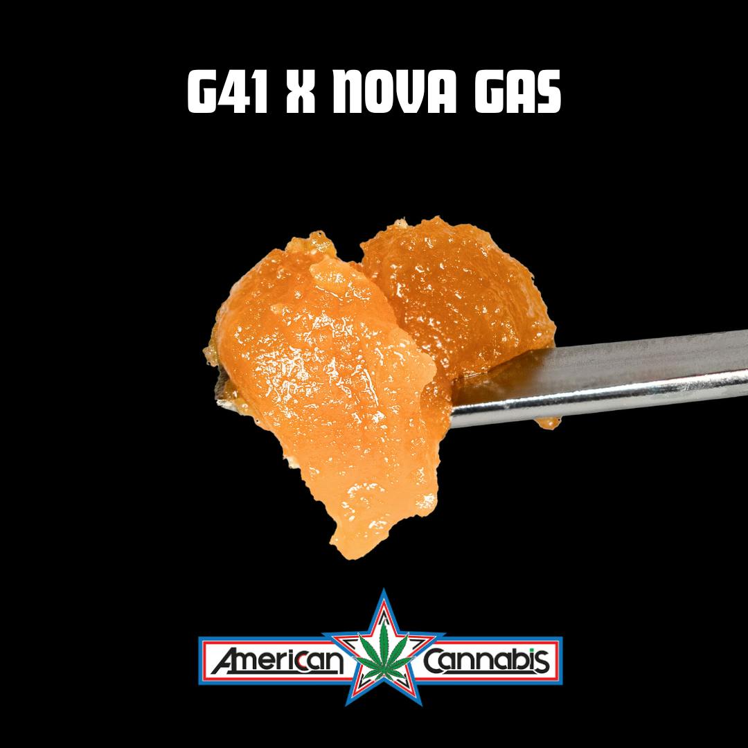 ACC G41 x Nova Gas 1g (Hybrid) at American Cannabis Company