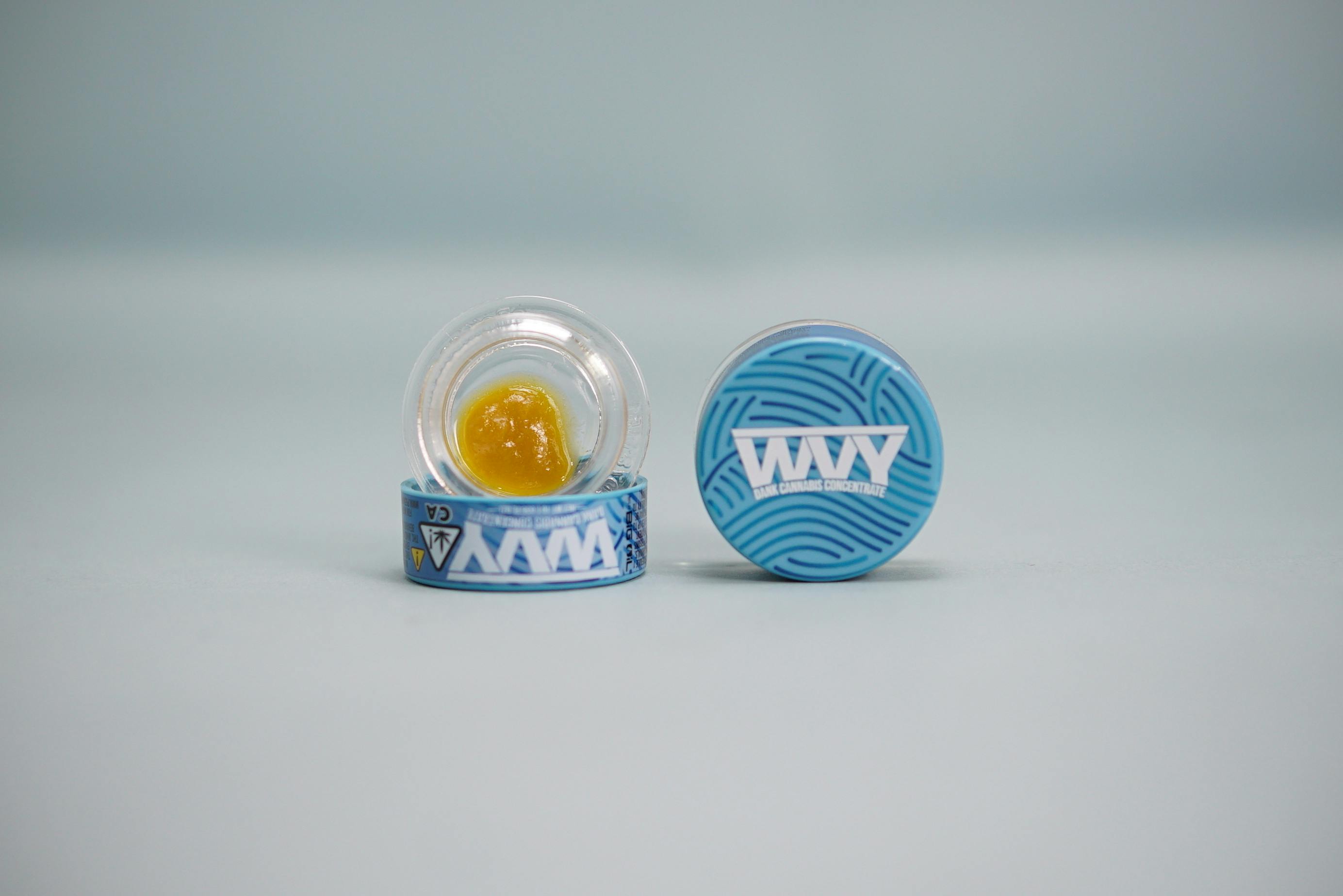 WVY: Governmint Oasis