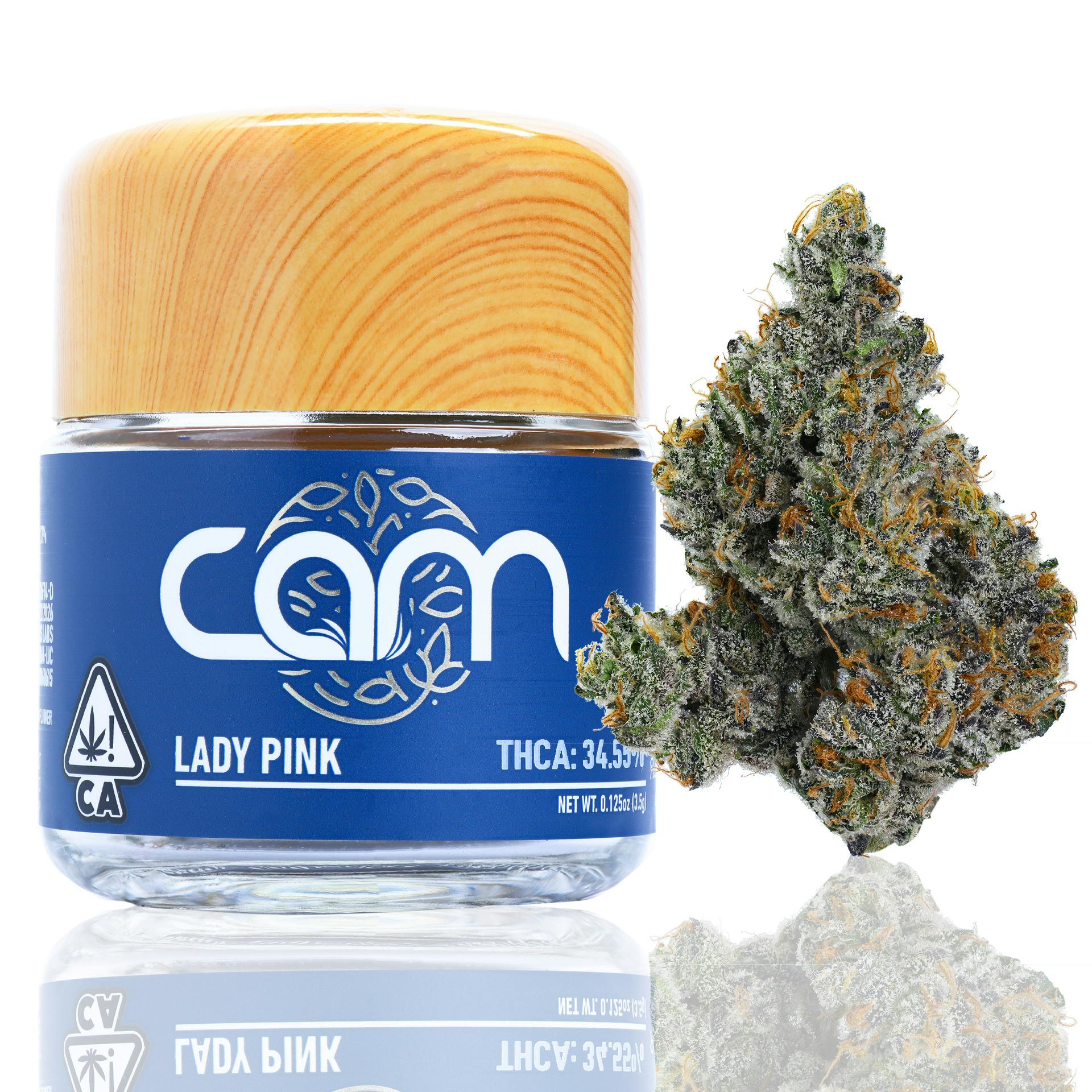 CAM: Lady Pink