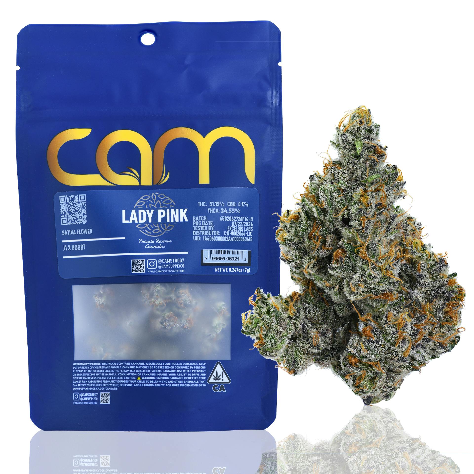 CAM: Lady Pink