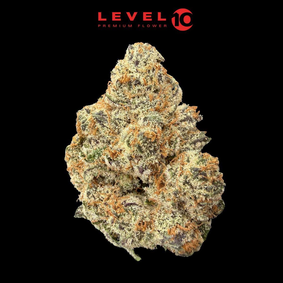 Level 10 - Artic Orange - Flower
