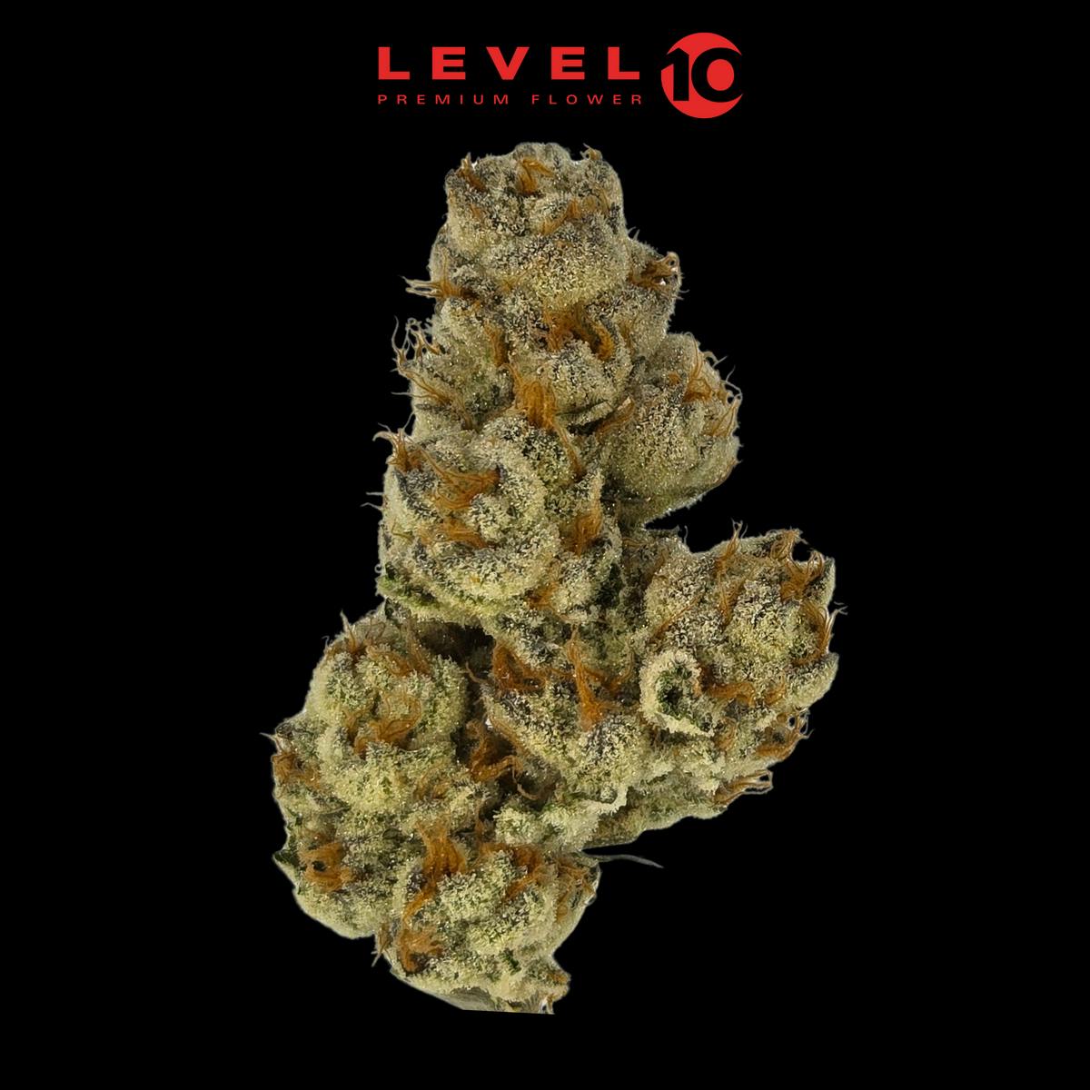 Level 10 - Astronaut Status - Flower