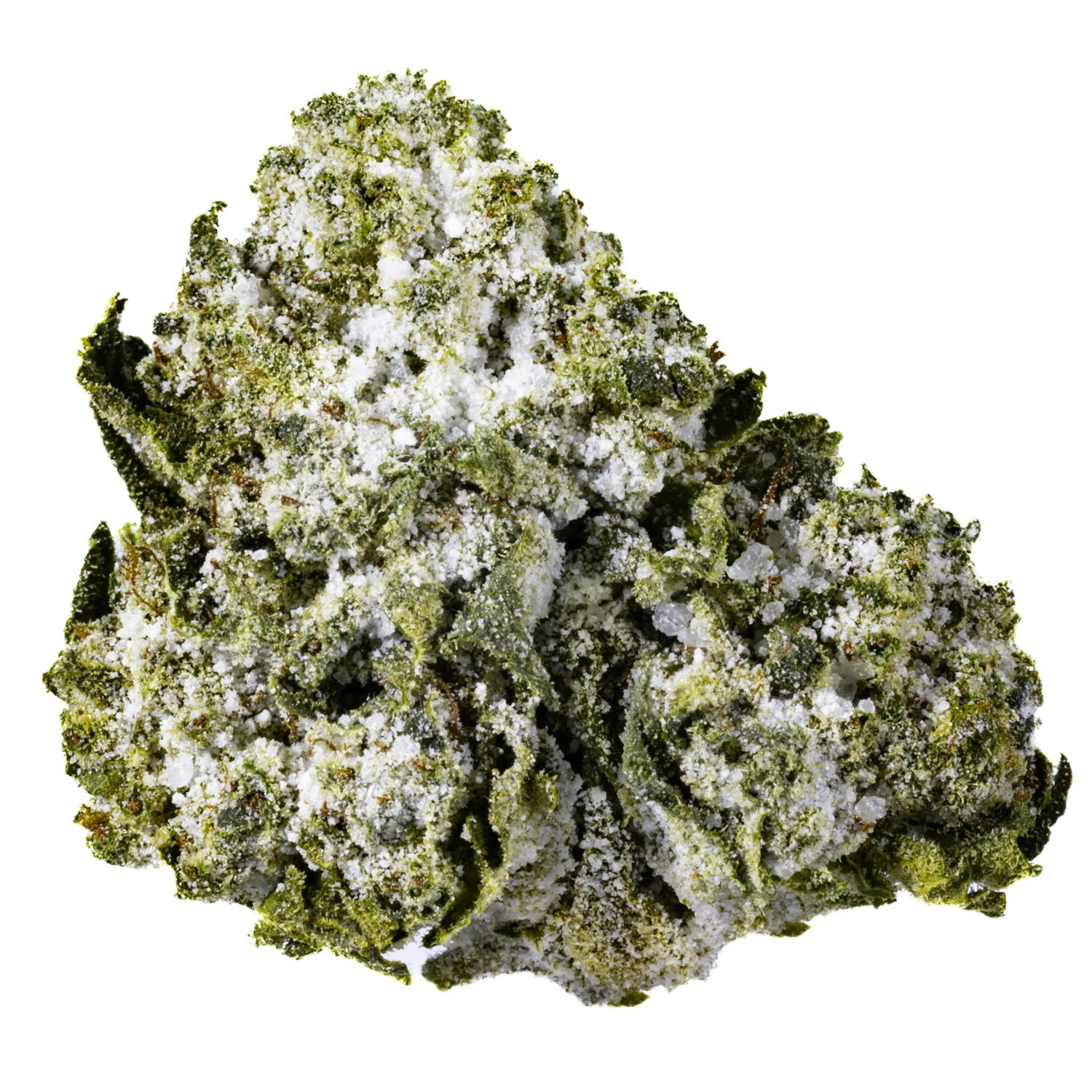 West Coast Cure — Jokerz