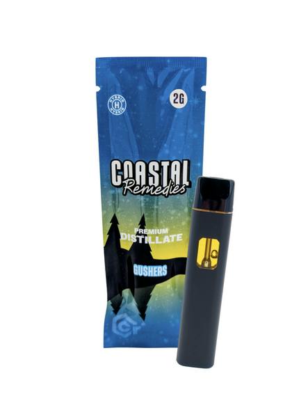 Gushers | 2g Distillate Disposable | Coastal Remedies by Coastal Remedies