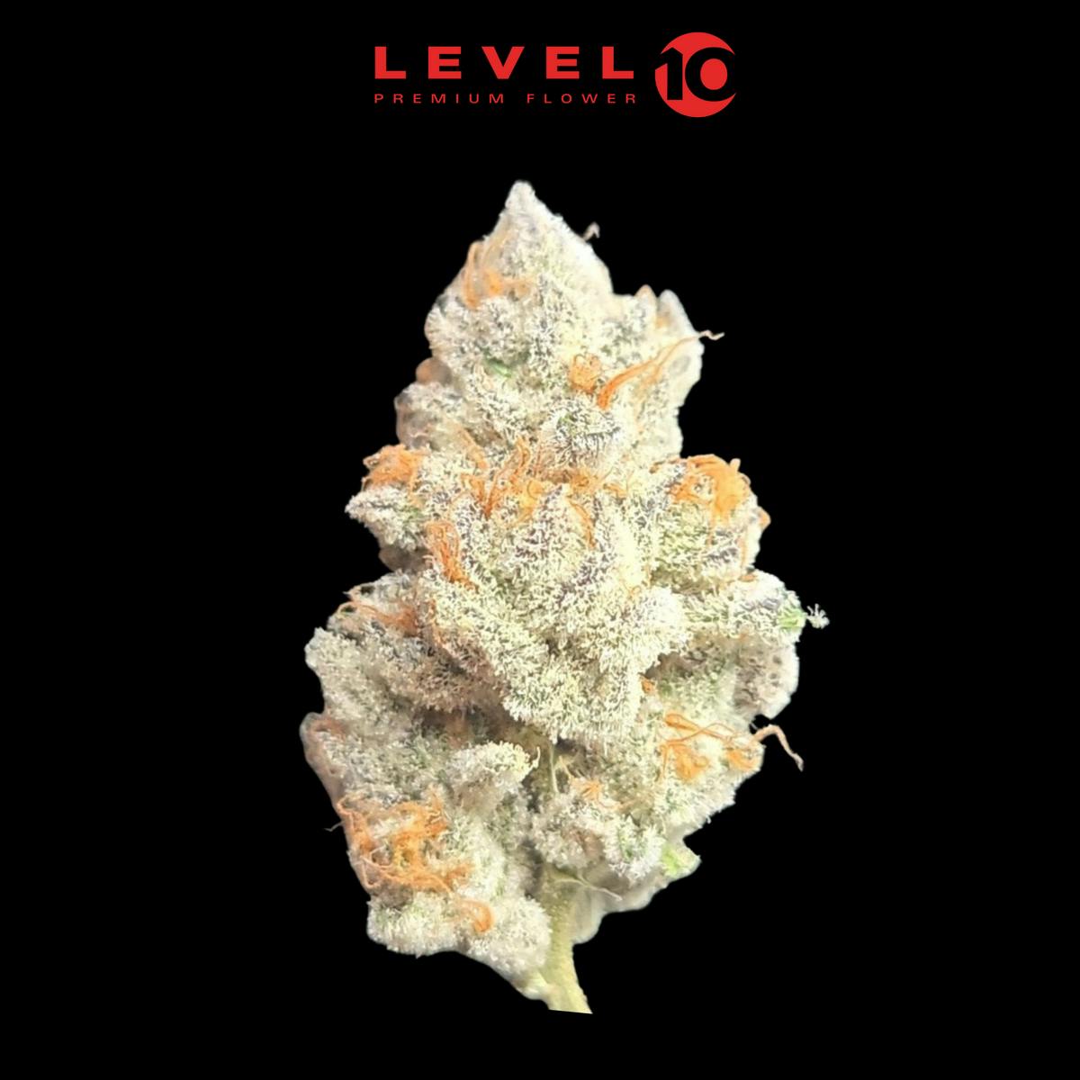 Level 10 Topanga Canyon