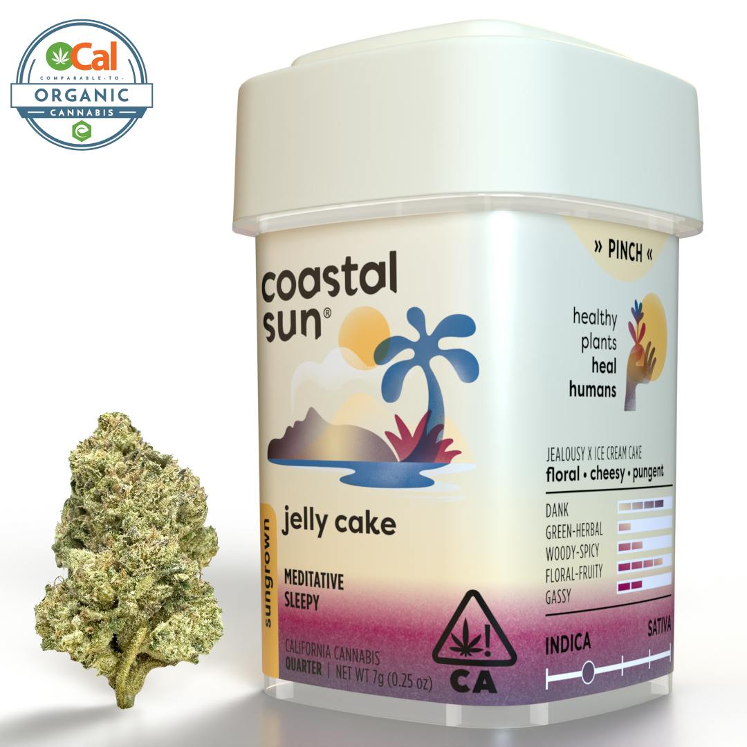 Coastal Sun — Jelly Cake