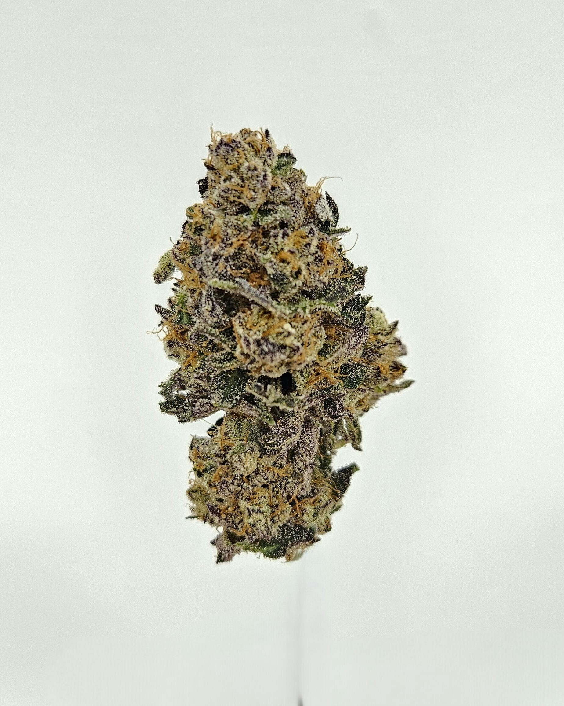 Flower - Private Reserve - Ice Cream Cake by Ripple Wellness