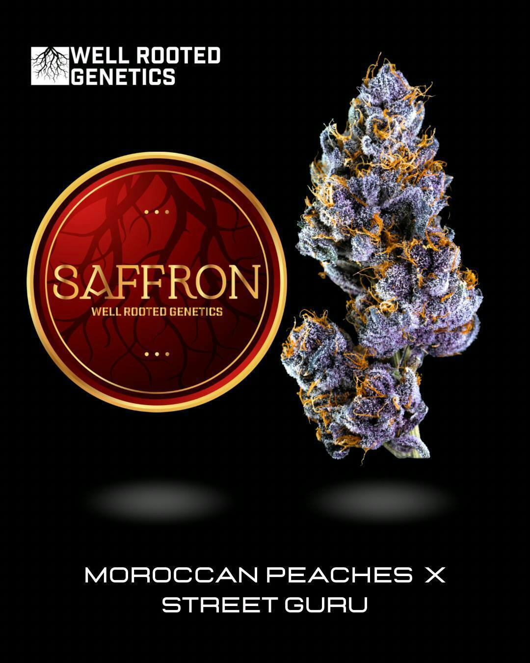 Well Rooted Genetics | Saffron | Big Buds | 3.5g by Well Rooted Genetics