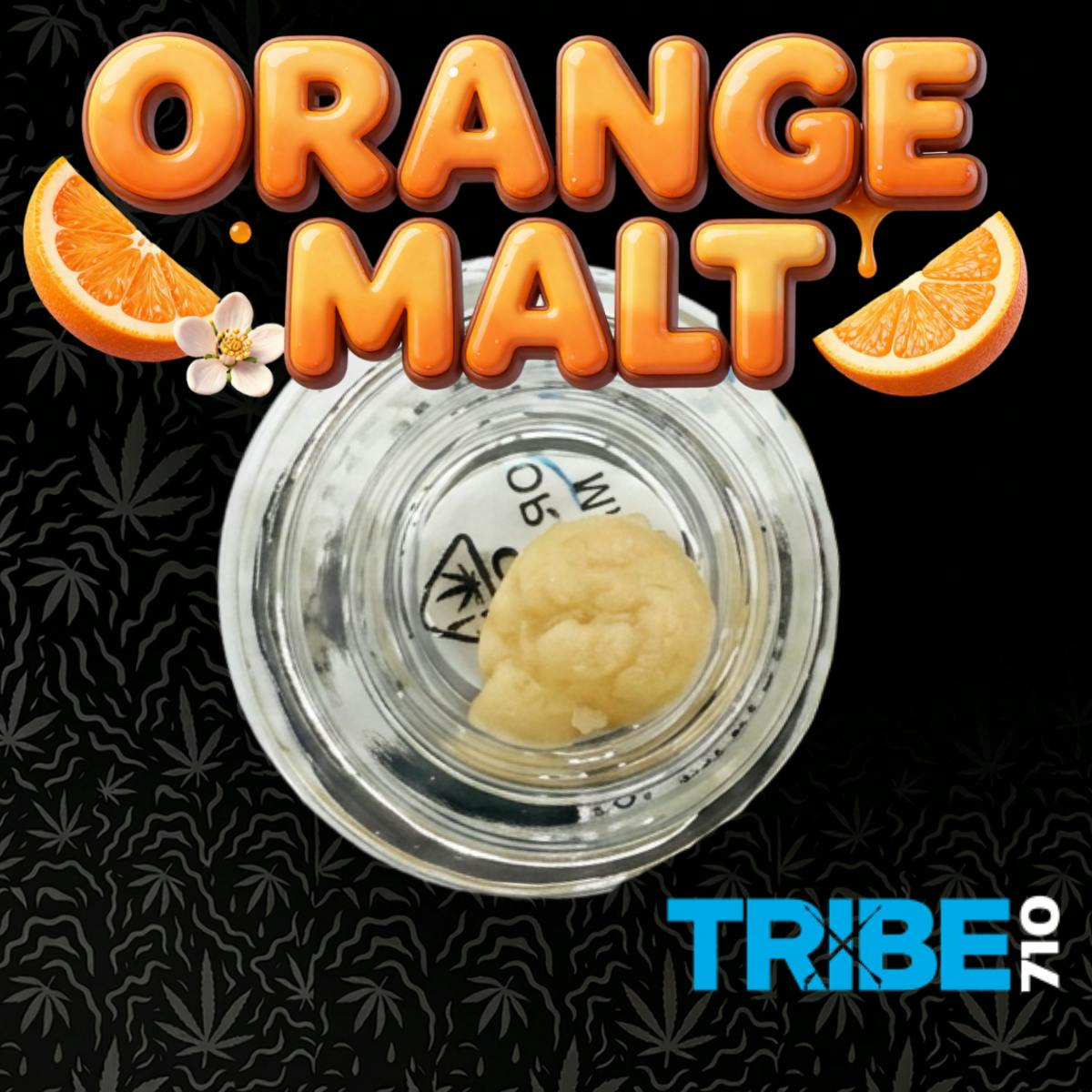 Tribe 710: Orange Malt