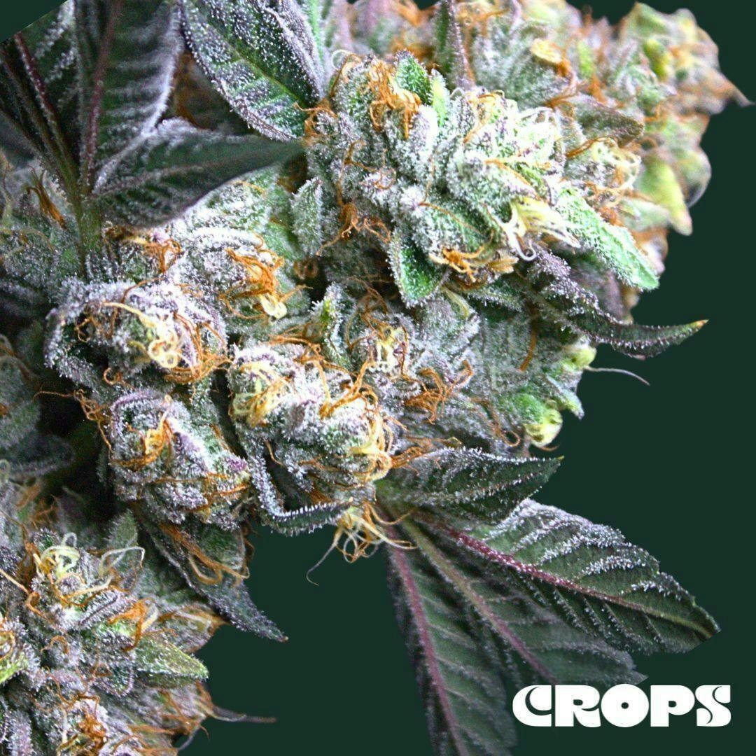 Wedding Cake | 7g