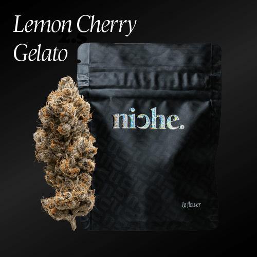 Lemon Cherry Gelato | 1g by Niche