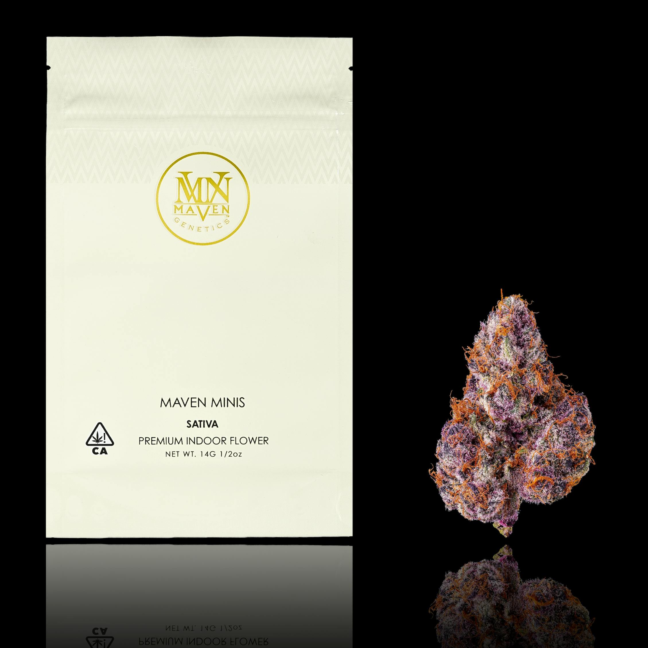 Maven Genetics — Lemon Cherry Tropicana Maven Minis
