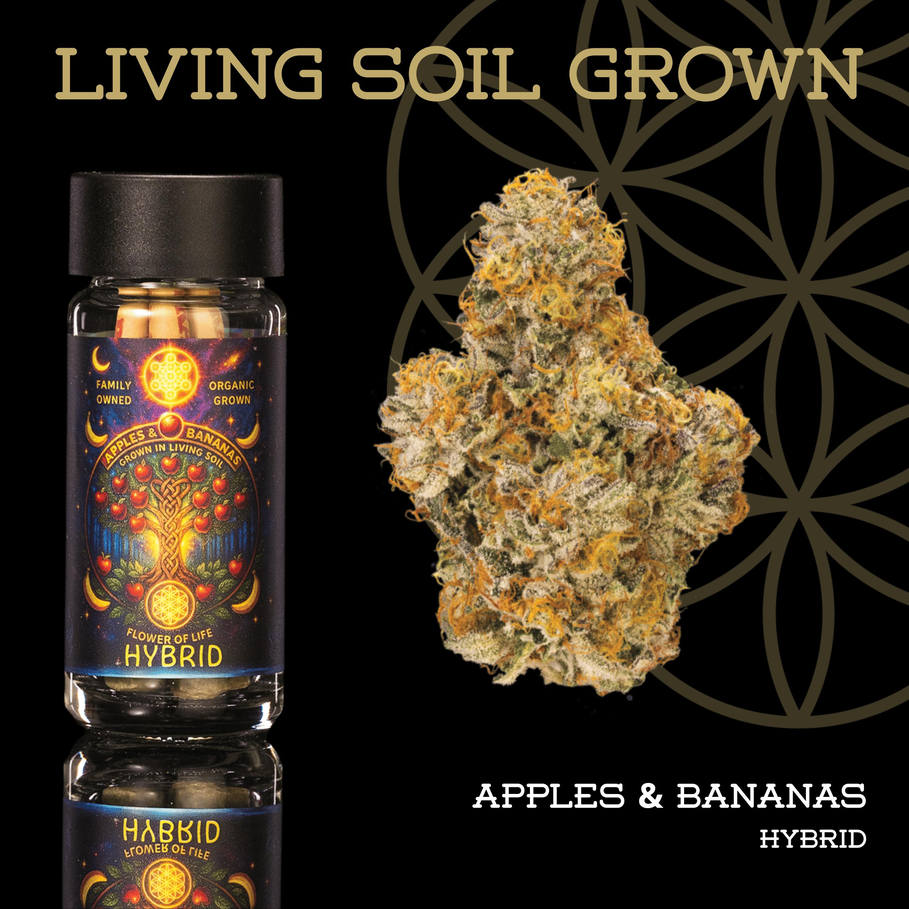 Apples & Bananas | Pre-Roll 5-Pack | 2.5g | Living Soil