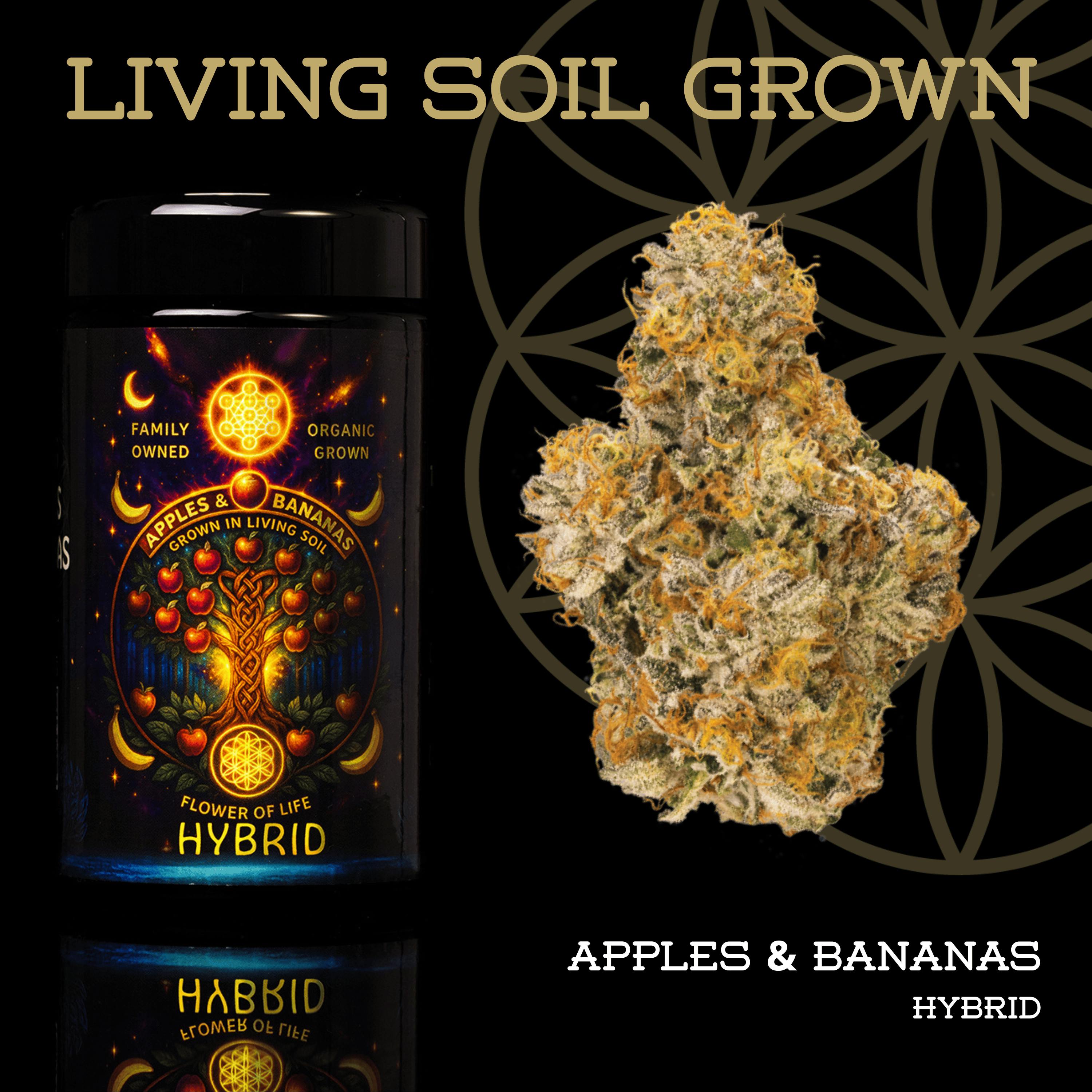 Apples & Bananas | Prepack | Miron Jar | Living Soil by Flower of Life