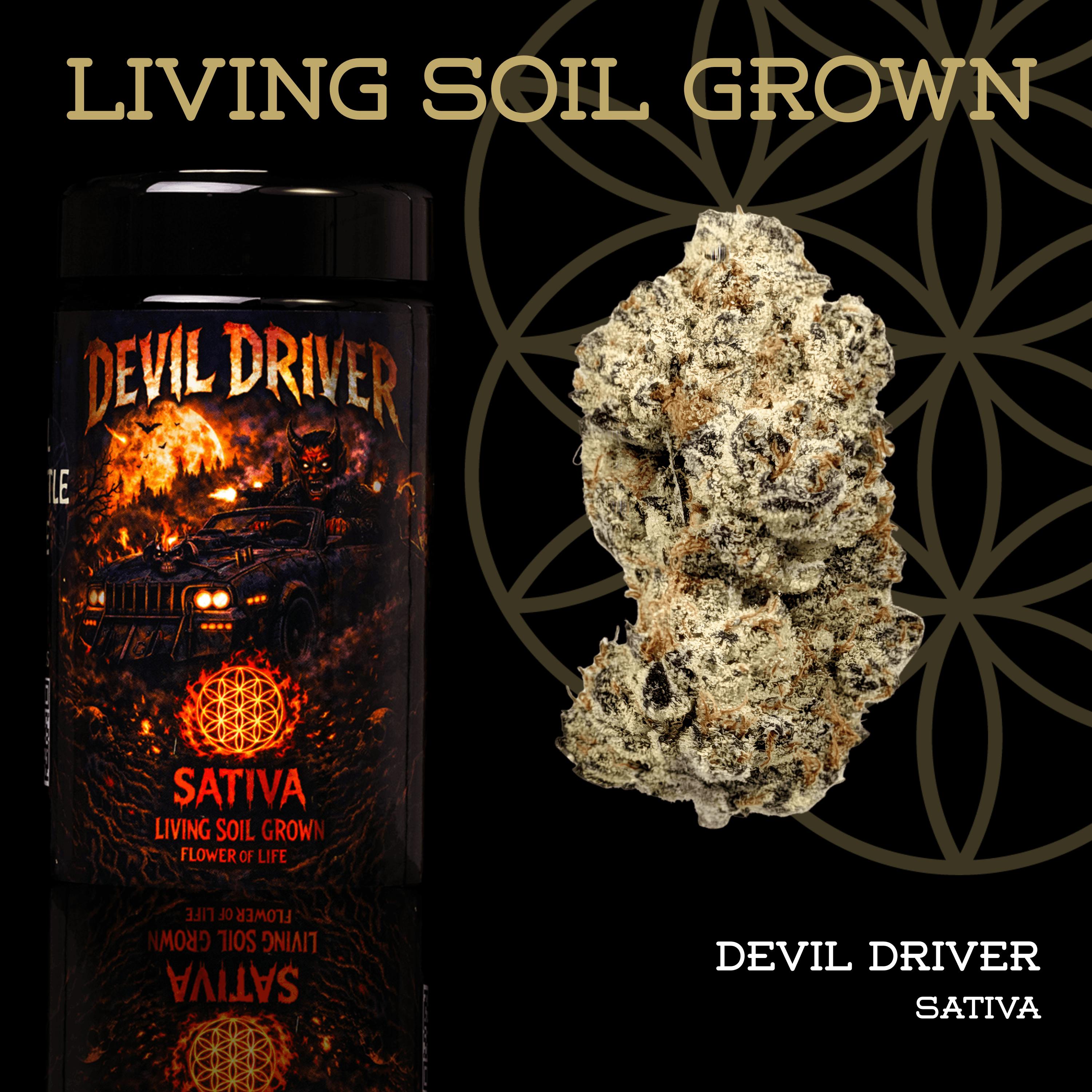 Devil Driver | Prepack | Miron Jar | Living Soil - Flower of Life